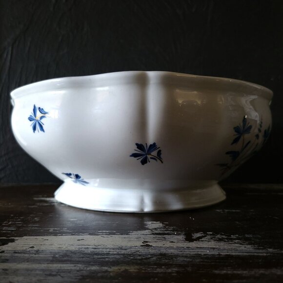 Large Antique Limoges Bowl Hand-Painted Cornflowers, J. Garfinckel Washington DC - Picture 2 of 7